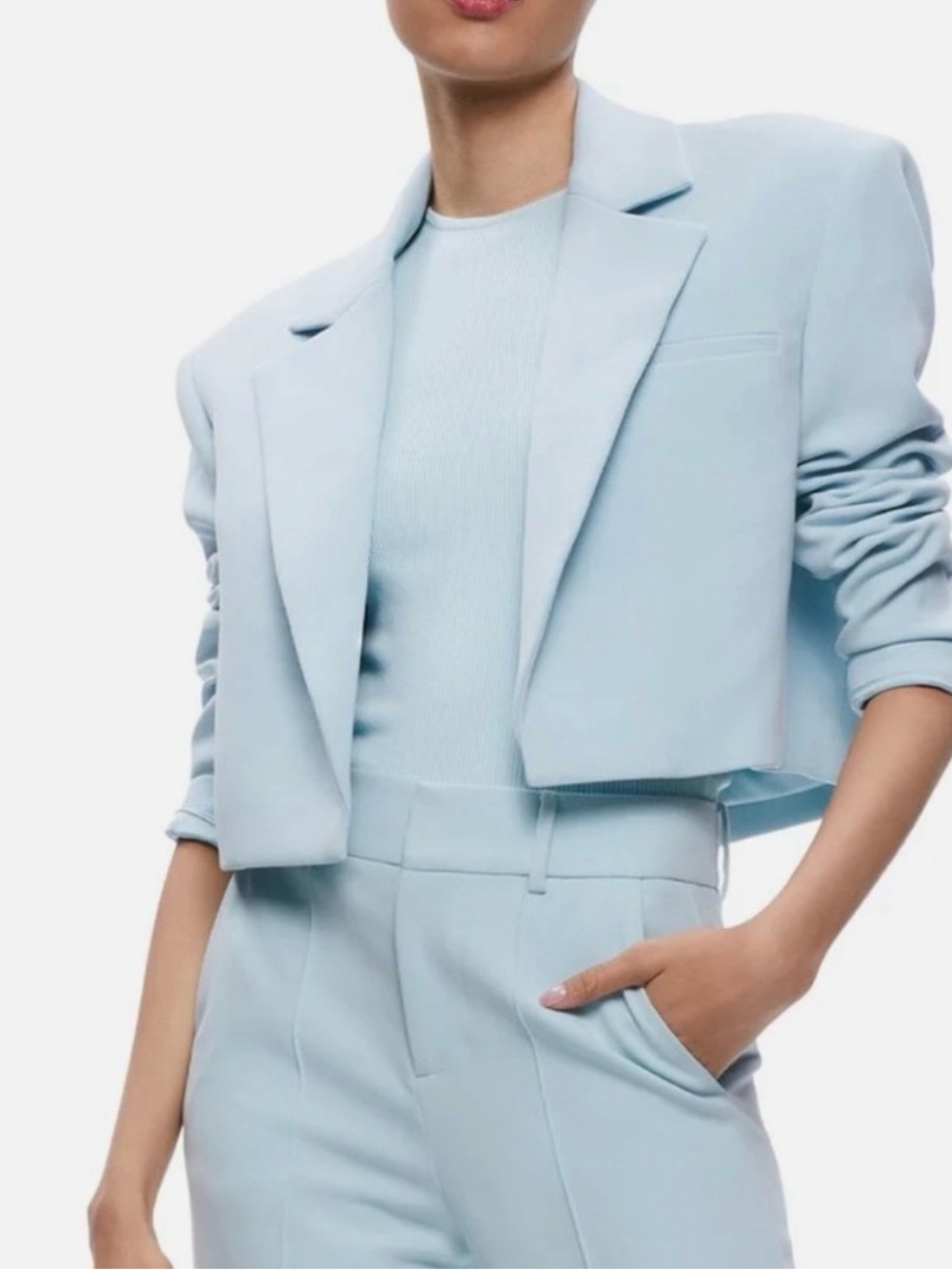 Alice + Olivia Two Piece Suit- Cropped Blazer Jacket with Dylan Wide Leg Pant